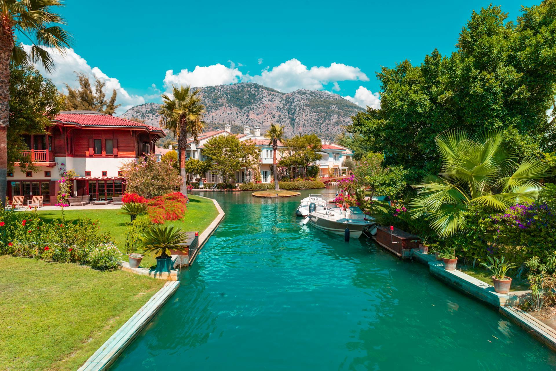 Turkey image